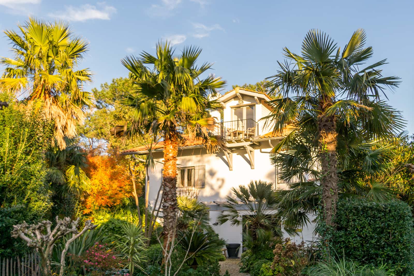 Exterieurs de la villa Arbolateia - ambiance 1