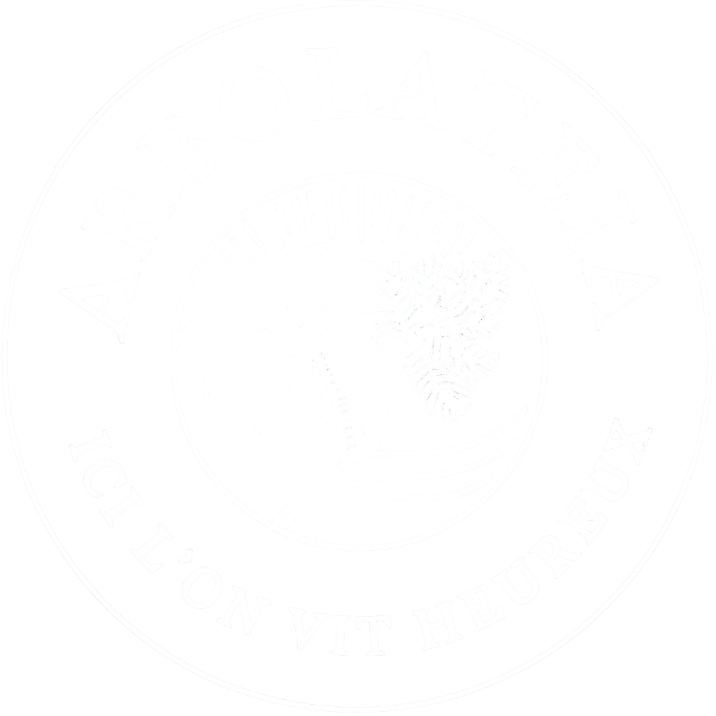 Logo Arbolateia blanc sur fond transparent